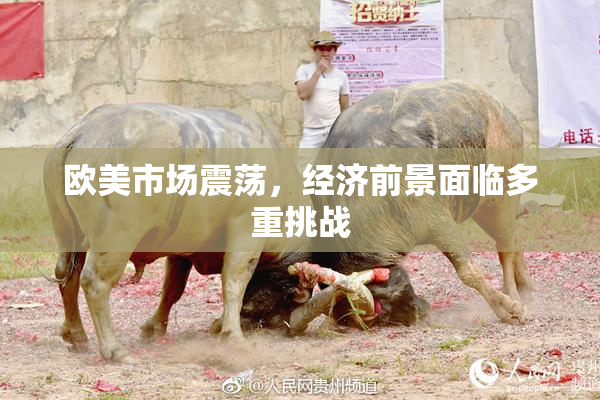 欧美市场震荡，经济前景面临多重挑战