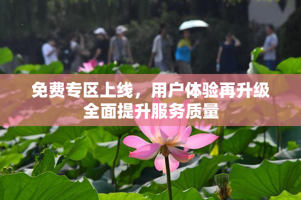 免费专区上线，用户体验再升级全面提升服务质量