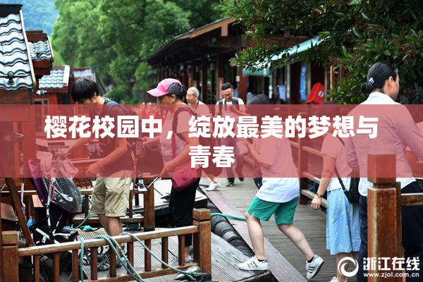 樱花校园中，绽放最美的梦想与青春