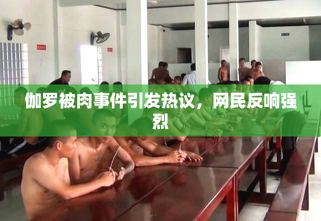 伽罗被肉事件引发热议，网民反响强烈