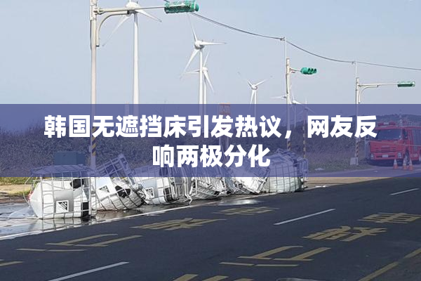 韩国无遮挡床引发热议，网友反响两极分化