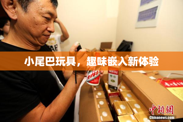 小尾巴玩具，趣味嵌入新体验