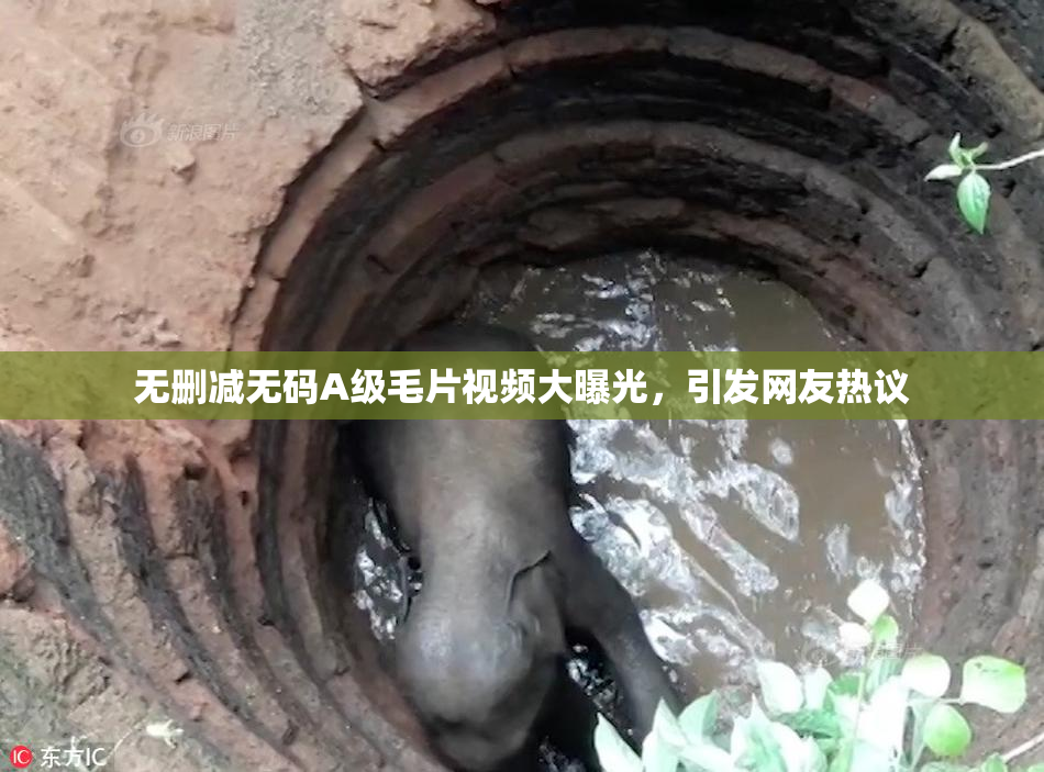 无删减无码A级毛片视频大曝光，引发网友热议