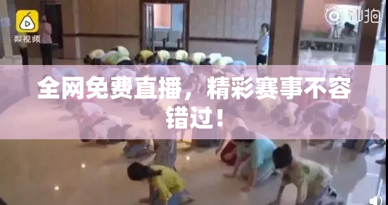 全网免费直播，精彩赛事不容错过！