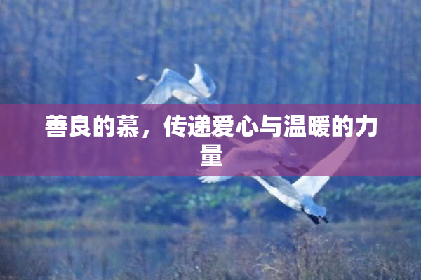 善良的慕，传递爱心与温暖的力量