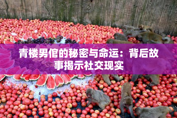 青楼男倌的秘密与命运：背后故事揭示社交现实