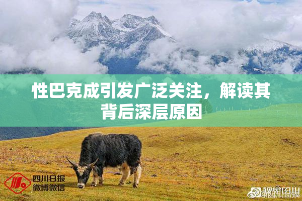 性巴克成引发广泛关注，解读其背后深层原因