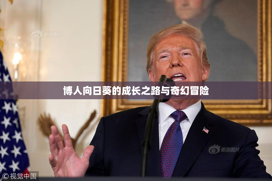 博人向日葵的成长之路与奇幻冒险