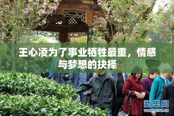 王心凌为了事业牺牲最重，情感与梦想的抉择