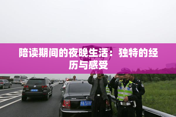陪读期间的夜晚生活：独特的经历与感受
