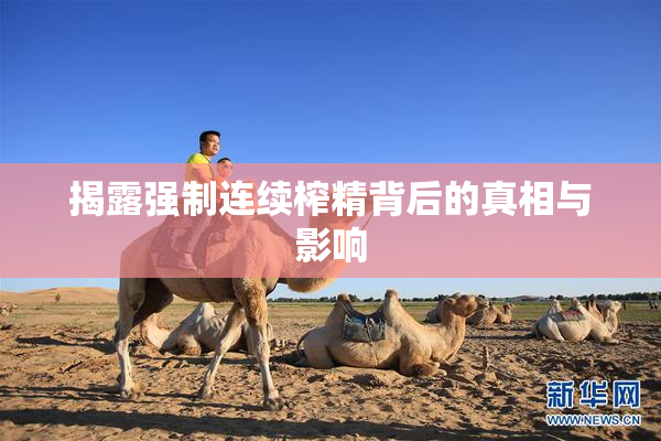 揭露强制连续榨精背后的真相与影响