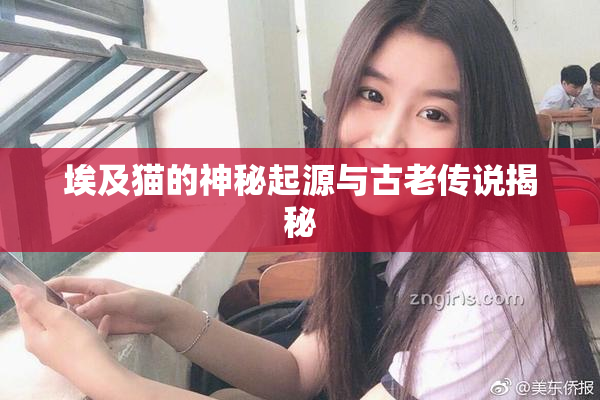 埃及猫的神秘起源与古老传说揭秘