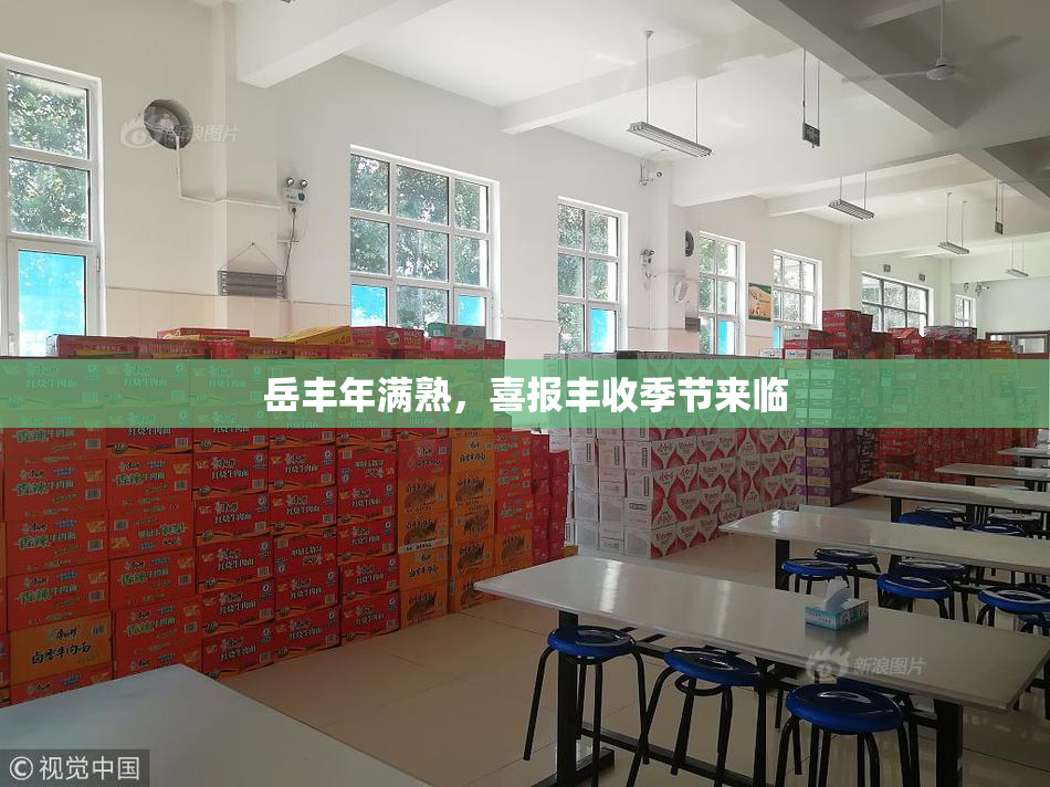 岳丰年满熟，喜报丰收季节来临