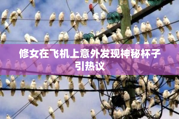 修女在飞机上意外发现神秘杯子引热议