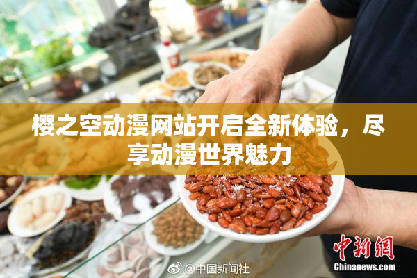 樱之空动漫网站开启全新体验，尽享动漫世界魅力