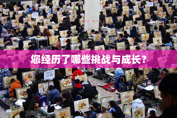 您经历了哪些挑战与成长？