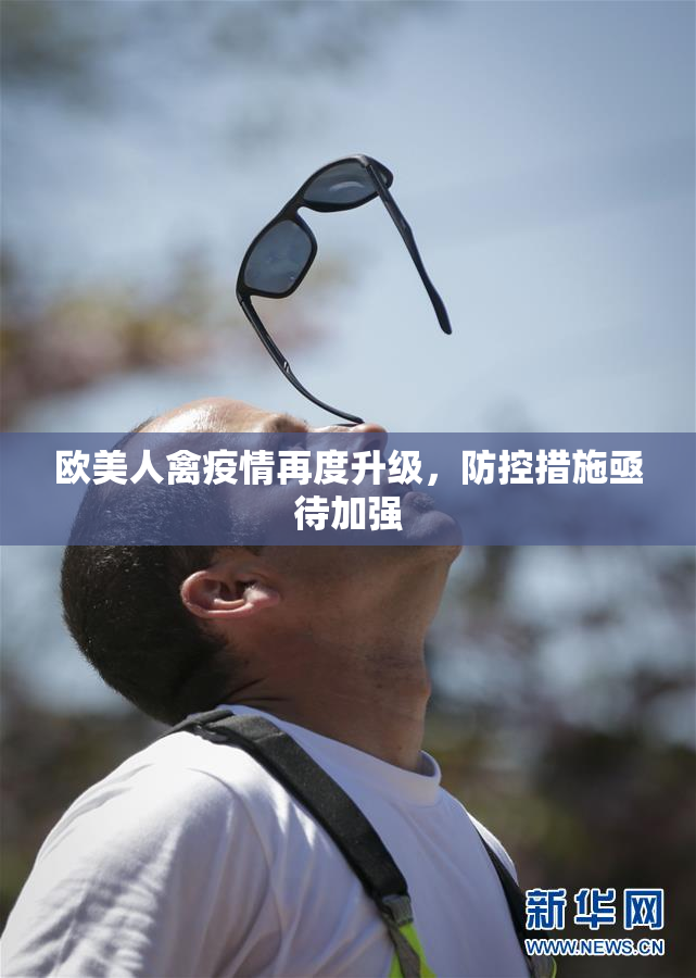 欧美人禽疫情再度升级，防控措施亟待加强