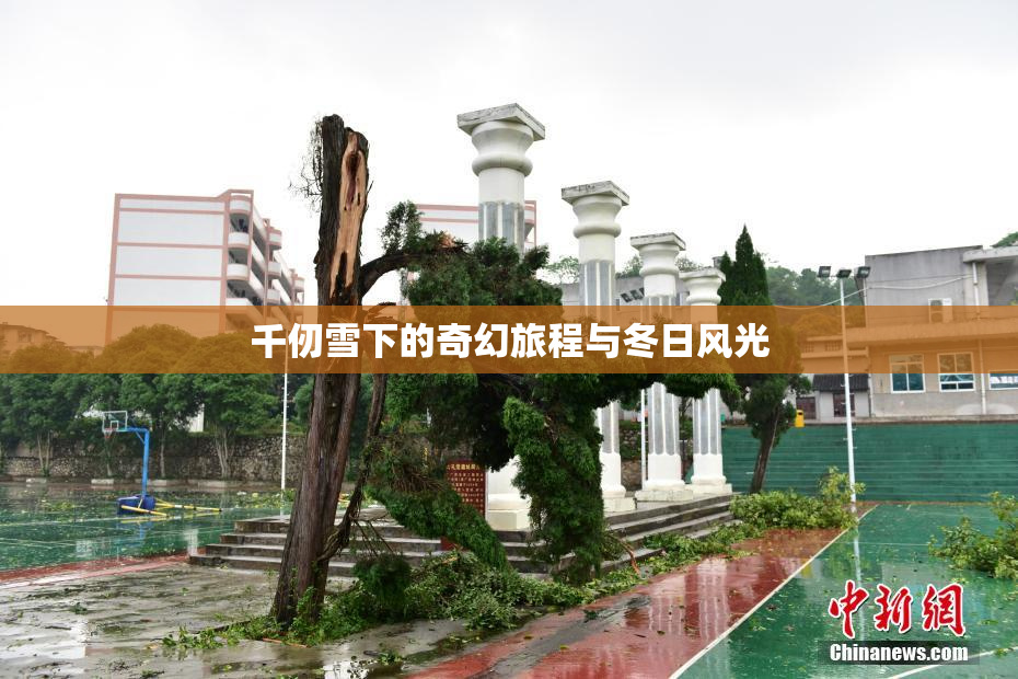 千仞雪下的奇幻旅程与冬日风光