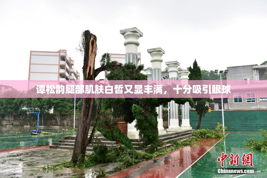 谭松韵腿部肌肤白皙又显丰满，十分吸引眼球