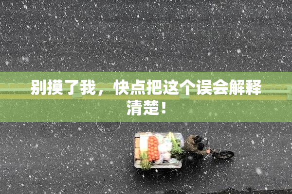 别摸了我，快点把这个误会解释清楚！