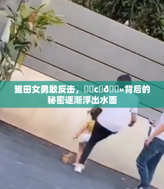 雏田女勇敢反击，❌‌c‌🐻背后的秘密逐渐浮出水面