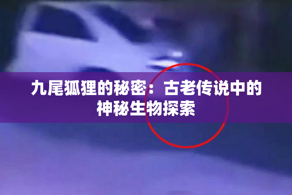 九尾狐狸的秘密：古老传说中的神秘生物探索