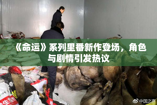 《命运》系列里番新作登场，角色与剧情引发热议