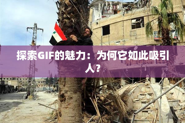 探索GIF的魅力：为何它如此吸引人？