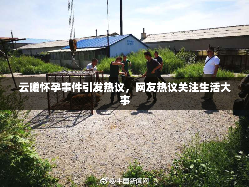 云曦怀孕事件引发热议，网友热议关注生活大事