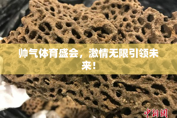 帅气体育盛会，激情无限引领未来！