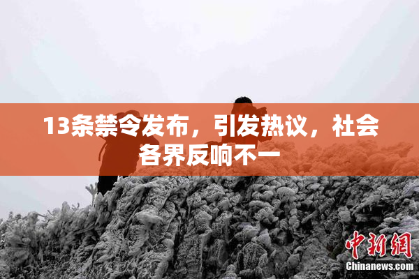 13条禁令发布，引发热议，社会各界反响不一