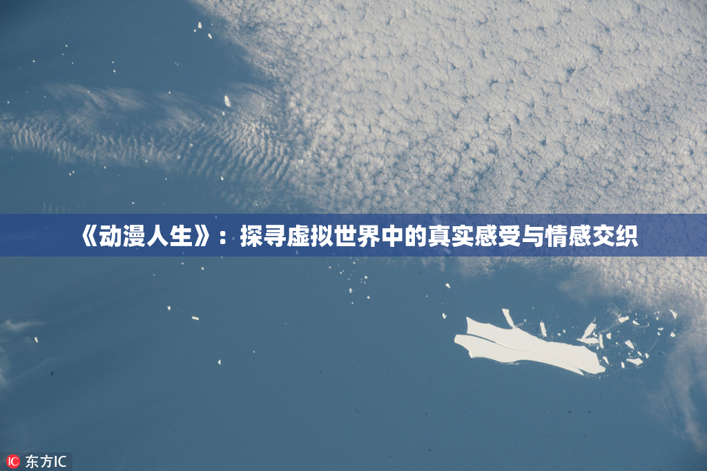 《动漫人生》：探寻虚拟世界中的真实感受与情感交织