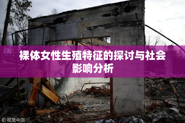 裸体女性生殖特征的探讨与社会影响分析