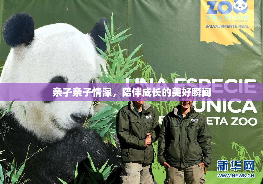 亲孑亲子情深，陪伴成长的美好瞬间