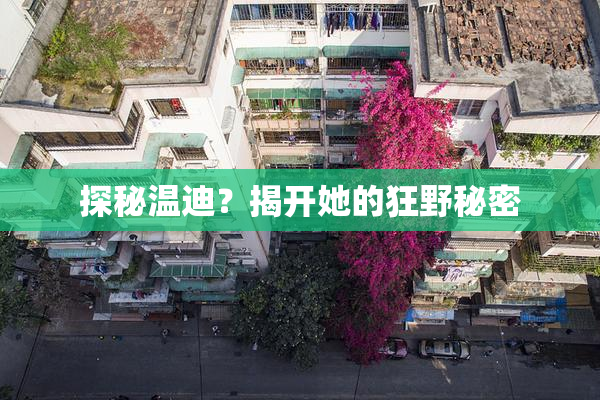 探秘温迪？揭开她的狂野秘密