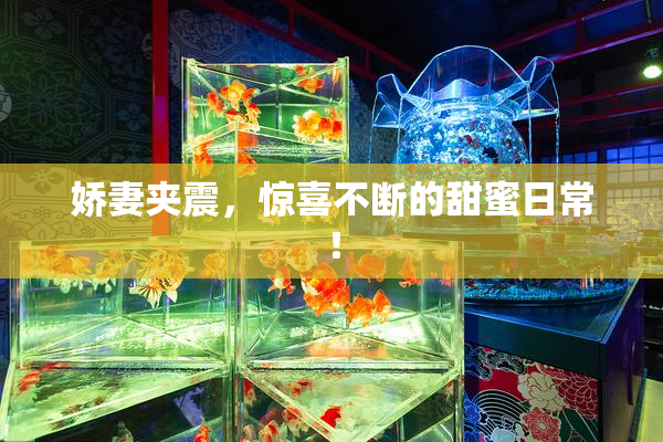 娇妻夹震，惊喜不断的甜蜜日常！