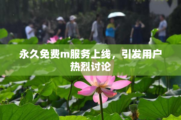 永久免费m服务上线，引发用户热烈讨论