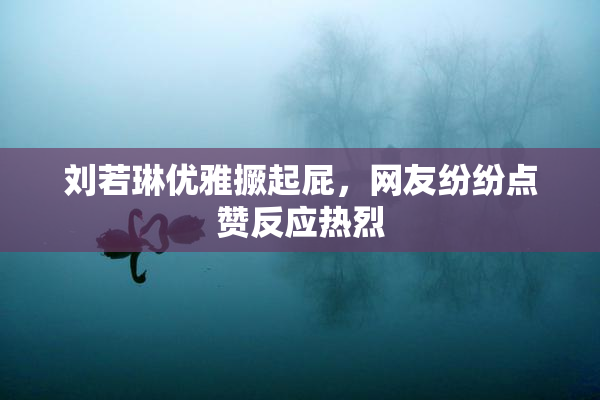 刘若琳优雅撅起屁，网友纷纷点赞反应热烈