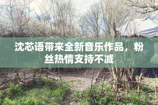 沈芯语带来全新音乐作品，粉丝热情支持不减