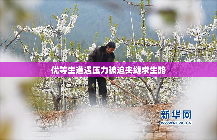 优等生遭遇压力被迫夹缝求生路