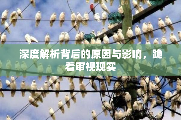 深度解析背后的原因与影响，跪着审视现实