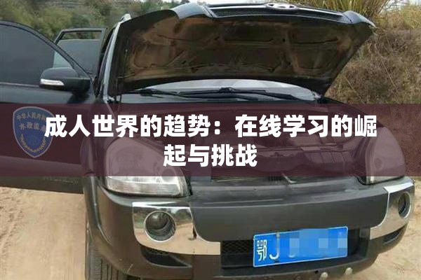 成人世界的趋势：在线学习的崛起与挑战