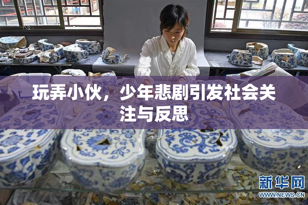 玩弄小伙，少年悲剧引发社会关注与反思