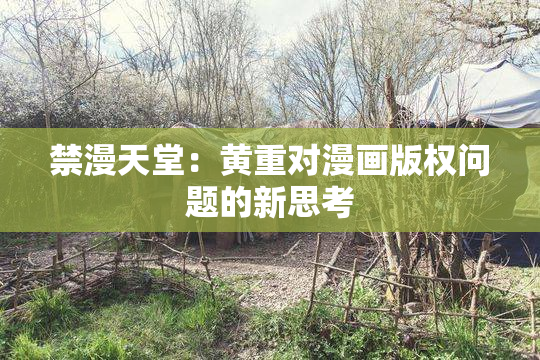 禁漫天堂：黄重对漫画版权问题的新思考