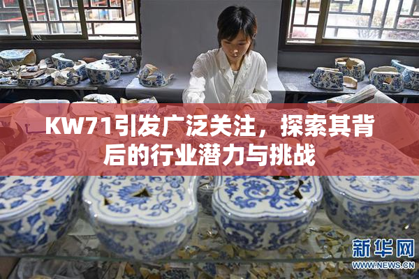 KW71引发广泛关注，探索其背后的行业潜力与挑战