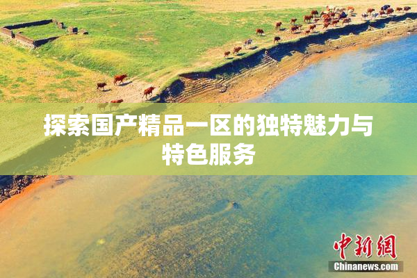 探索国产精品一区的独特魅力与特色服务