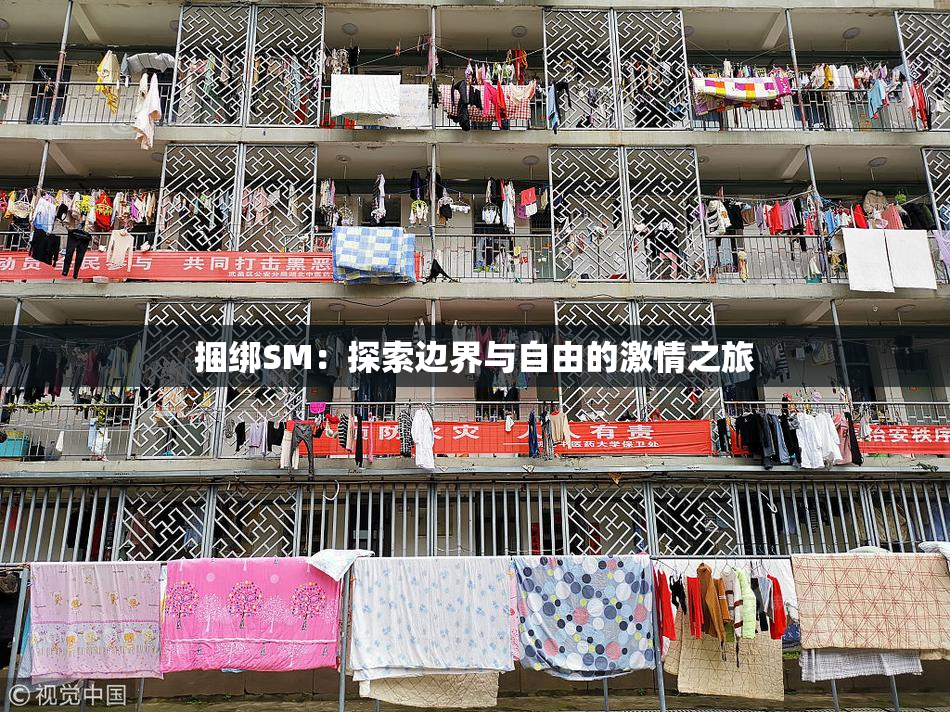 捆绑SM：探索边界与自由的激情之旅