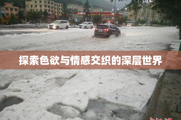探索色欲与情感交织的深层世界