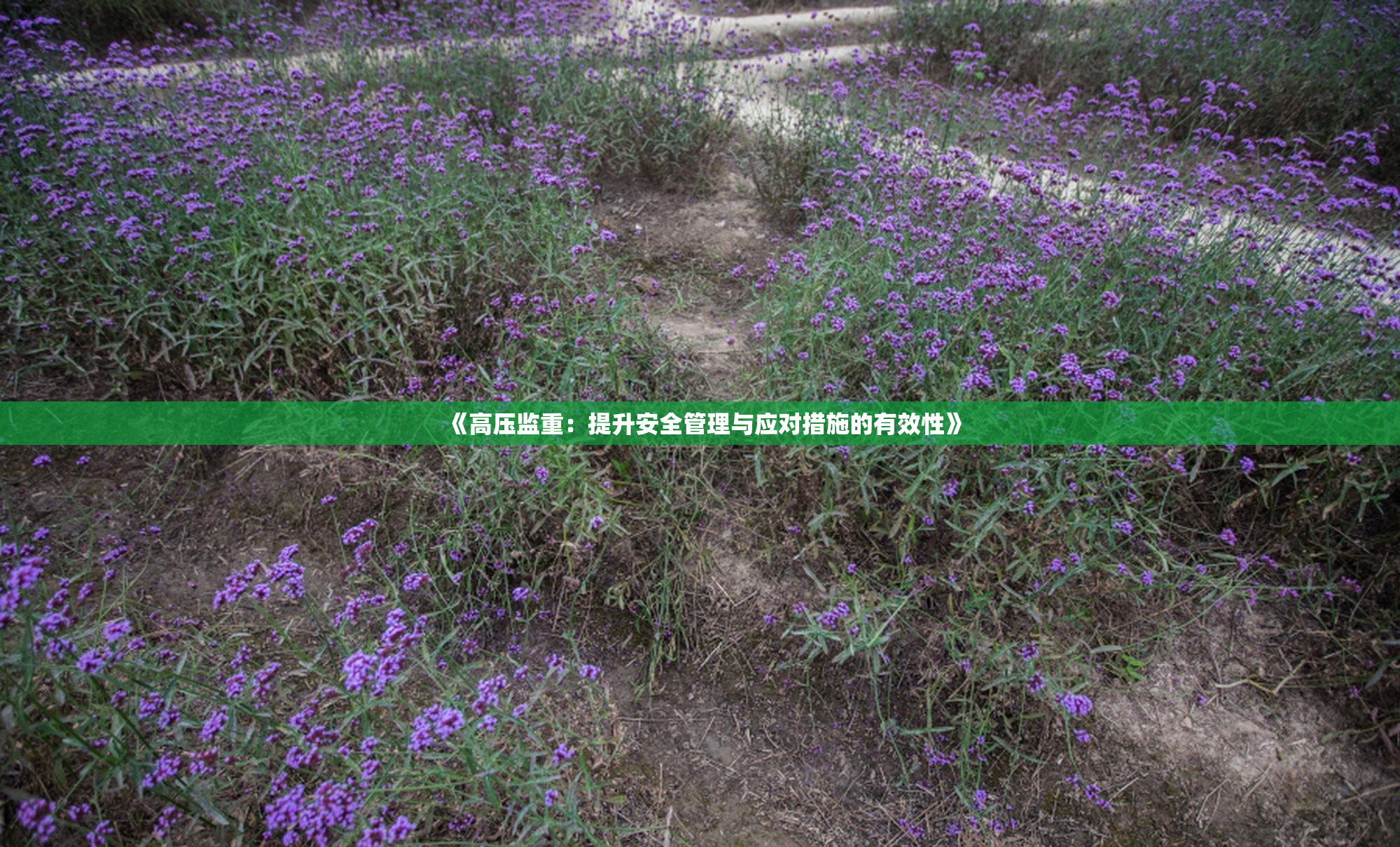《高压监重：提升安全管理与应对措施的有效性》