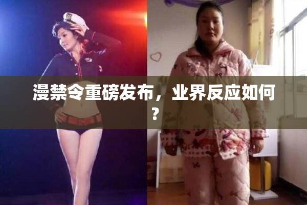 漫禁令重磅发布，业界反应如何？
